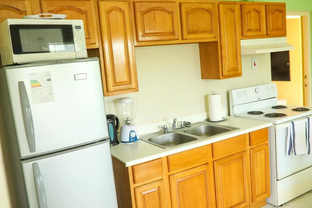 New Remodel - Winchester Sunshine Kingston Apartamento